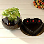 Lovely Truffle Cake And Syngonium Plant
