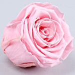 Beautiful Peony Pink Forever Rose & Chocolates