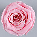 Beautiful Peony Pink Forever Rose & Chocolates