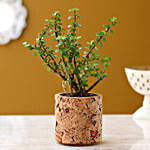 Jade Plant In Pipe Shape Cork Pot