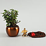 Special Shivaratri Puja Items Jade Plant