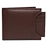 Wildhorn Urbane Men Wallet Combo Brown