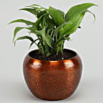 Peace Lily Plant In Brass Pot