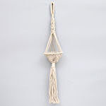 Money Plant With Handcrafted Macrame Plant Hanger