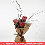 Red Protea Brown Salix Premium Bouquet