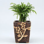 Chamaedorea Plant In Flower Embossed Pot