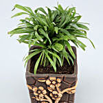 Chamaedorea Plant In Flower Embossed Pot
