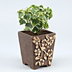 English Ivy Plant In Flower Embossed Pot