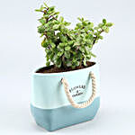 Jade Plant In Basket Ceramic Pot