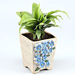 Peace Lily Plant In Flower Embossed Pot
