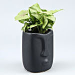 Syngonium Plant In Face Shaped Ceramic Pot