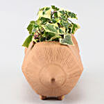 English Ivy Plant In Pencil Shaped Terracotta Pot