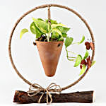 Money Plant In Conical Terracotta Pot & Iron Stand