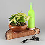 Money Plant In Terracotta Pot With Light Bottle