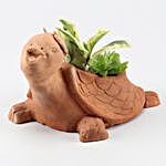 Two Succulent Plants In Cute Turtle Shaped Pot