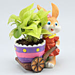 Golden Money Plant In Red Rabbit Cart Ceramic Pot