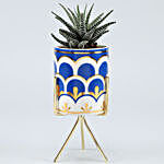 Haworthia Plant In Ceramic Pot With Golden Stand