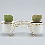 Hoya Plant Duo In Ceramic Pots With Golden Stand