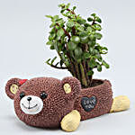 Jade Plant In Brown Love You Bear Ceramic Pot