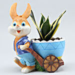 Milt Sansevieria Plant In Blue Shirt Rabbit Cart