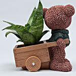 Sansevieria Plant In Brown Bear Cart Ceramic Pot