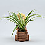 Spider Plant In Yellow Bear Cart Ceramic Pot