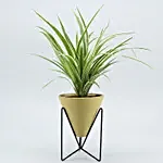 Spider Plant In Yellow Triangular Pot With Stand