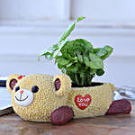 Syngonium Plant In Love You Bear Ceramic Pot
