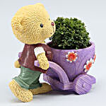 Table Kamini Plant In Bear Cart Pot
