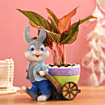 Aglaonema Plant In Blue Rabbit Cart Ceramic Pot