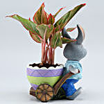 Aglaonema Plant In Blue Rabbit Cart Ceramic Pot