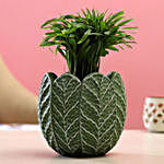 Chamaedorea Plant In Green & White Ceramic Pot