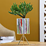 Euphorbia Sticks Plant In Ceramic Pot With Golden Stand