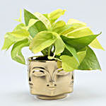 Golden Money Plant In Face Embossed Ceramic Pot