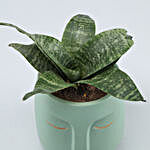 Sansevieria Green Plant In Ceramic Green Face Pot