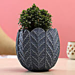 Table Kamini Plant In Blue & Grey Ceramic Pot