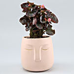Begonia Plant In Pink Ceramic Face Pot
