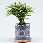 Chamaedorea Plant In Blue Rangoli Pot With Wooden Plate