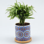 Chamaedorea Plant In Blue Rangoli Pot With Wooden Plate
