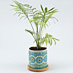 Chamaedorea Plant In Rangoli Pot With Wooden Plate