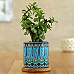 Jade Plant In Green Rangoli Pot With Wooden Plate