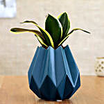 Milt Sansevieria Plant In Green Conical Pot