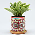 Peperomia Plant In Rangoli Pot With Wooden Plate
