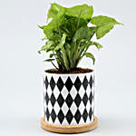 Syngonium Plant In Chess Pattern Wooden Plate Pot