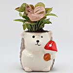 Syngonium Plant In Sitting Bear White Ceramic Pot