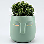 Table Kamini Plant In Green Ceramic Face Pot