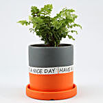 Fern Plant In Have A Nice Day Orange Plate Pot