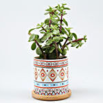 Jade Plant In White & Red Pot With Wooden Plate