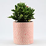 Kalanchoe Plant In Pink Pipe Shape Ceramic Pot
