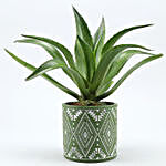 Lotus Cactus Plant In Pipe Shape Ceramic Pot